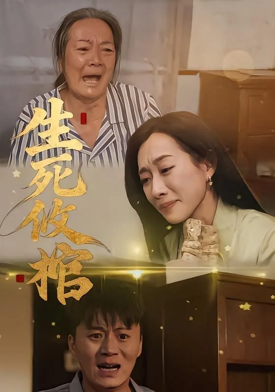 生死攸棺海报