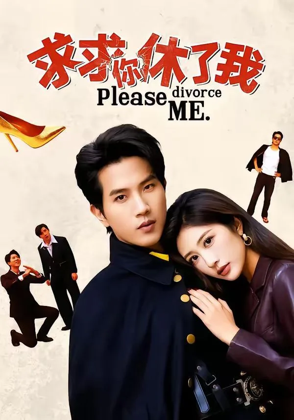 求求你休了我海报