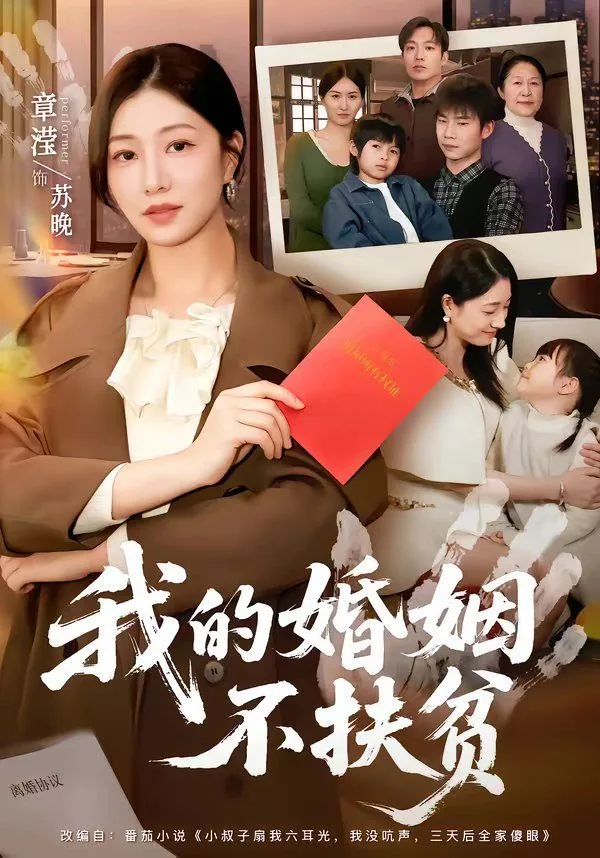 我的婚姻不扶贫海报