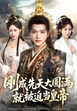 刚成先天大圆满，就被迫当皇帝海报