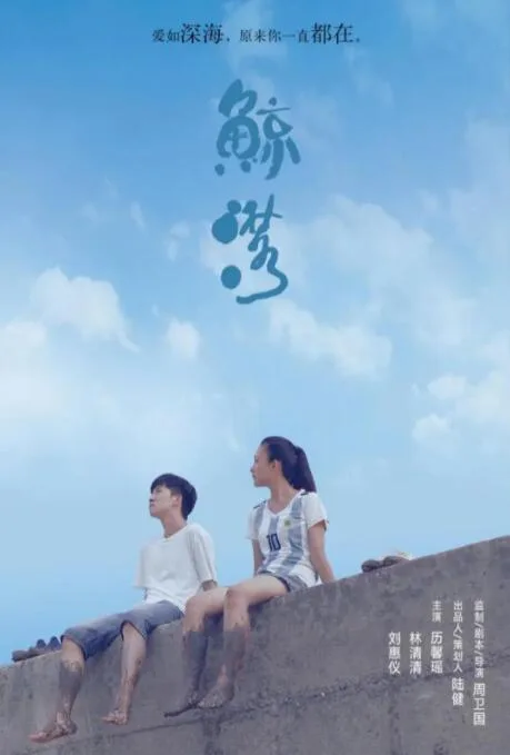 鲸落海报