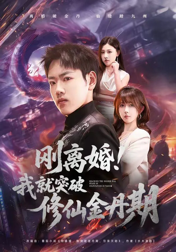刚离婚！我就突破修仙金丹期海报