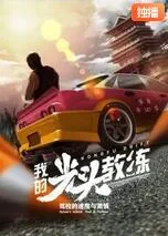 我的光头教练海报