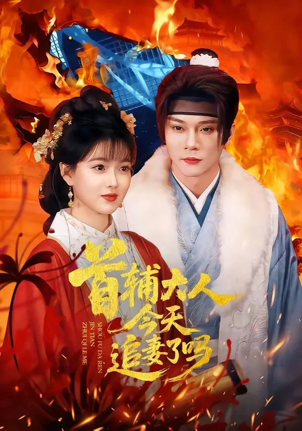 首辅大人，今天追妻了吗？海报