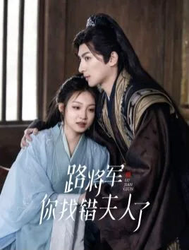 路将军你找错夫人了海报