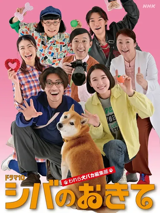 柴犬的规矩～我们这群狗痴编辑部海报
