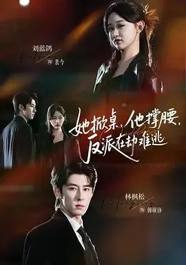 她掀桌他撑腰反派在劫难逃海报