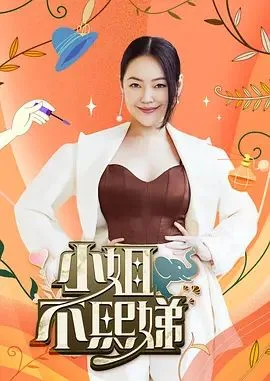 小姐不熙娣2026海报