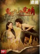 曾经错过的爱情海报