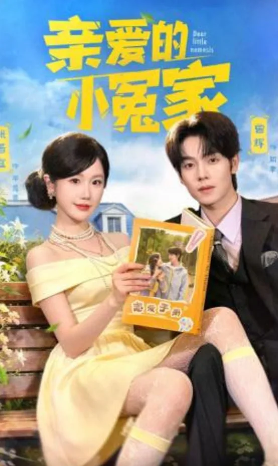 亲爱的小冤家海报